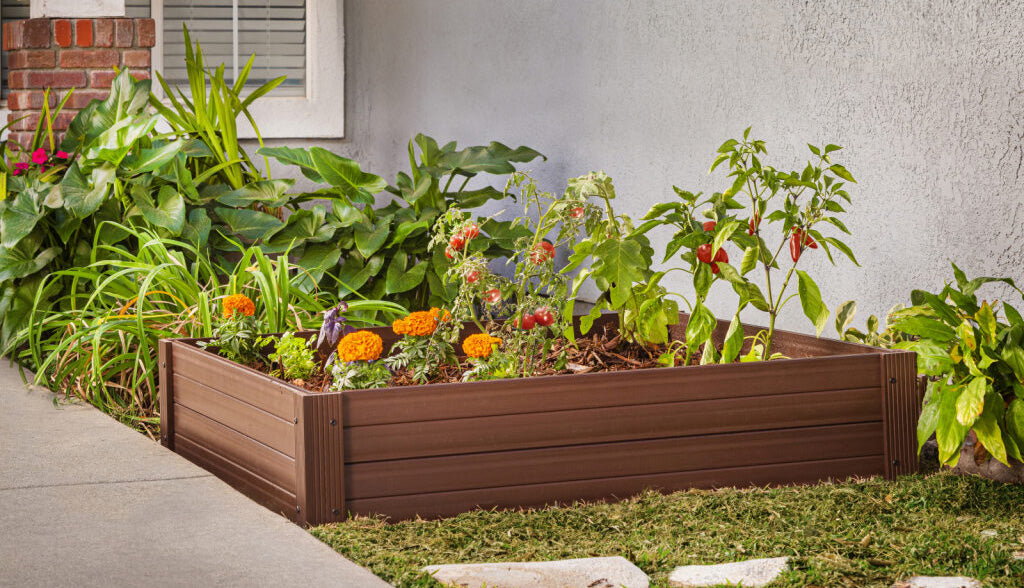 Late-Summer Planting: What to Sow for a Fall Harvest