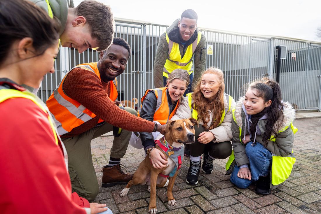volunteers gather around a dog for a picture outside