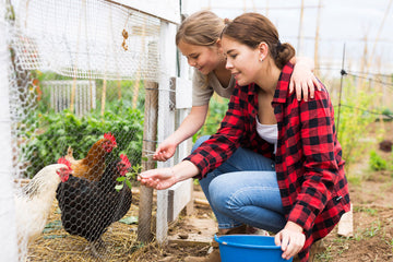mom and child feeding chickens