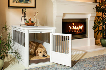 Dog resting in her crate