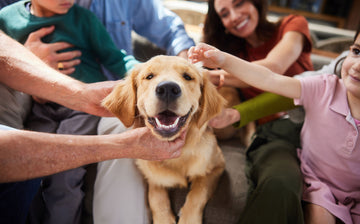 family petting their dog