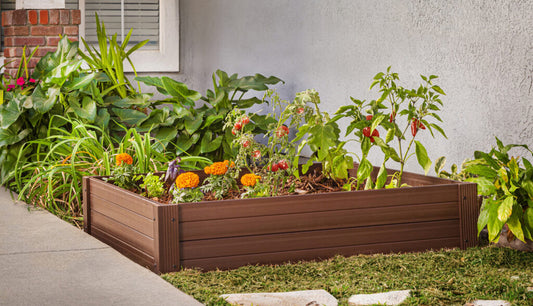 Late-Summer Planting: What to Sow for a Fall Harvest