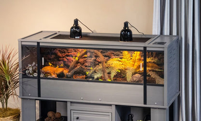 Salón de reptiles de Mojave