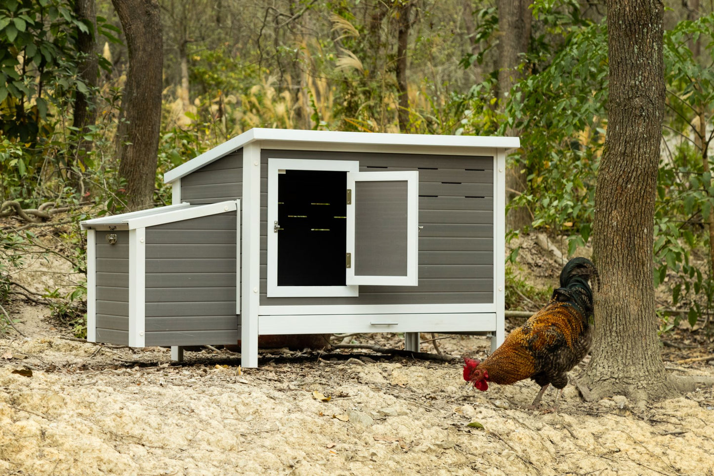 Poulet Fontana