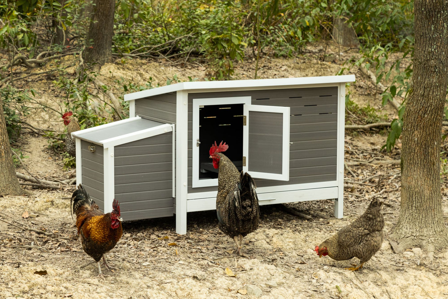 Fontana Premier Chicken Barn