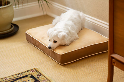 InnPlace Dog Cushion