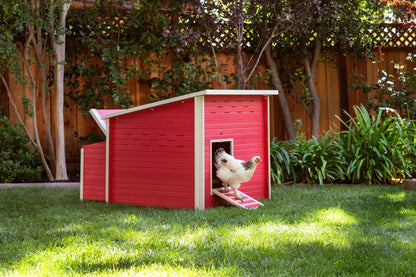 Jumbo Fontana Chicken Barn