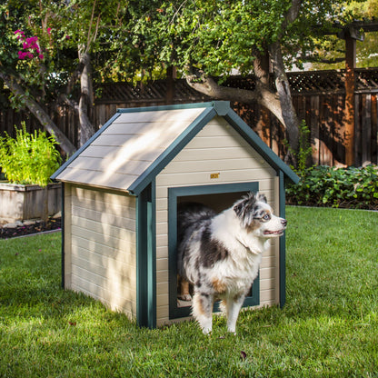 Casa para perros tipo barraca