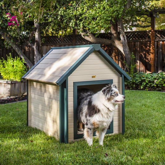 Casa para perros tipo barraca