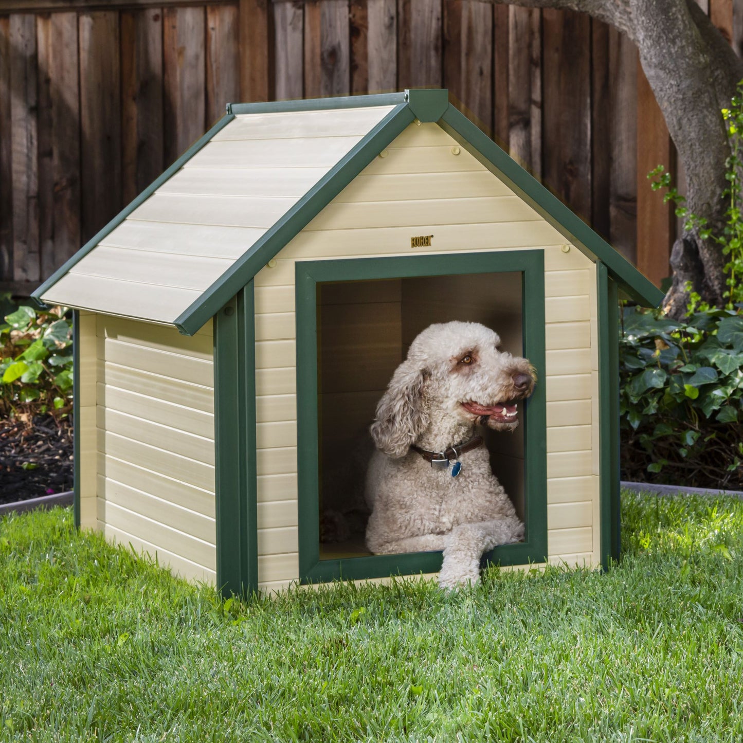 Casa para perros tipo barraca