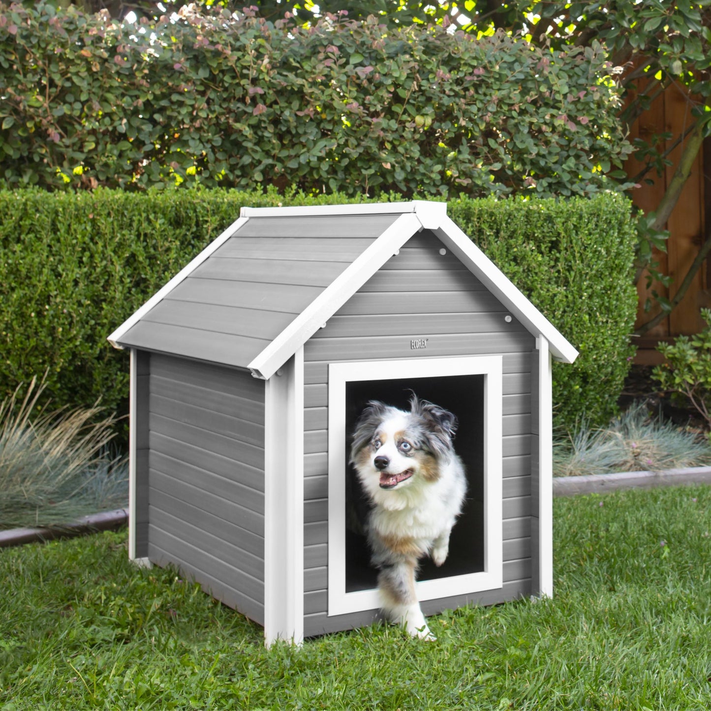 Bunkhouse Dog House