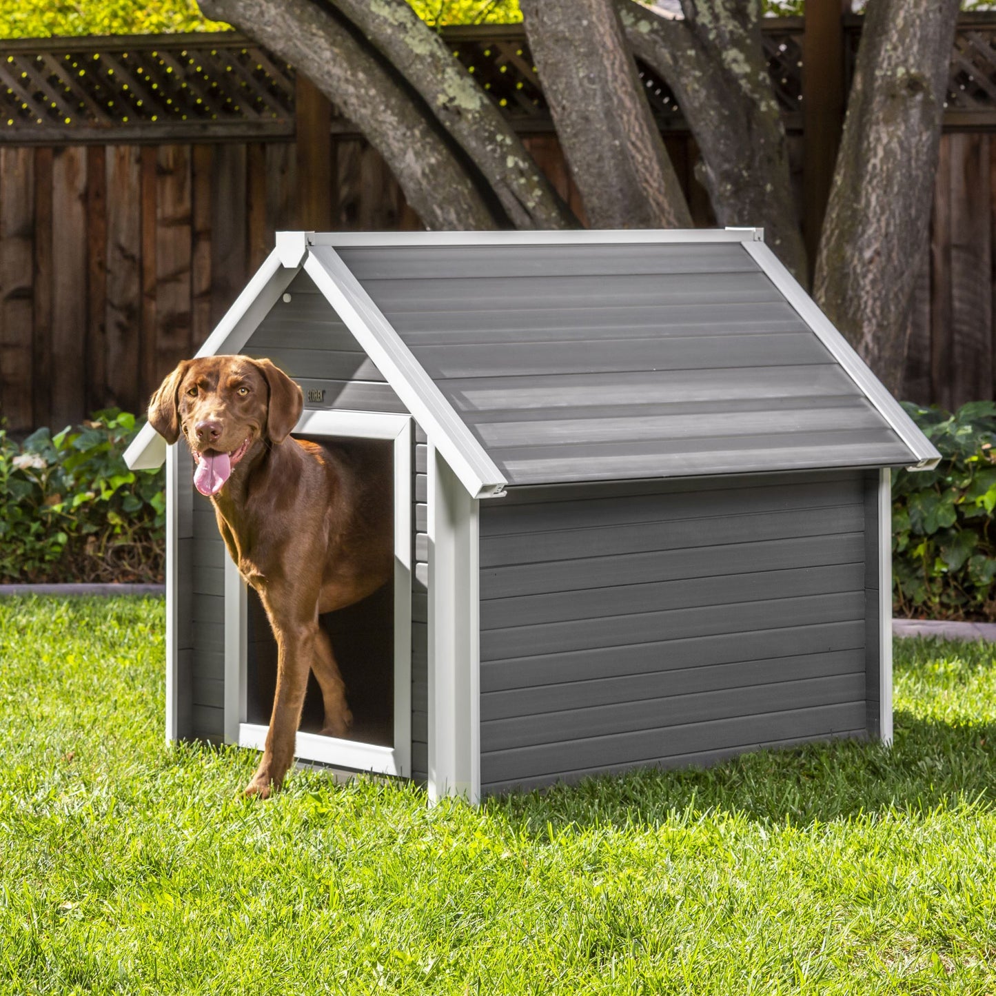 Bunkhouse Dog House