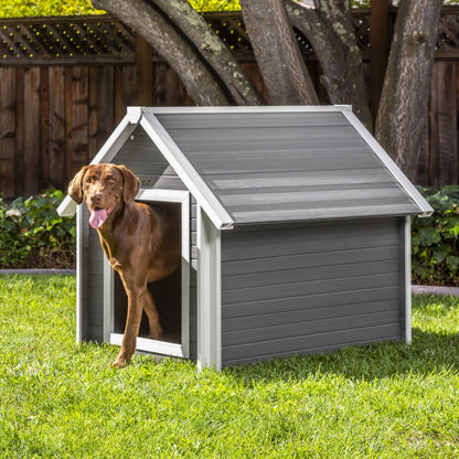 Casa para perros tipo barraca