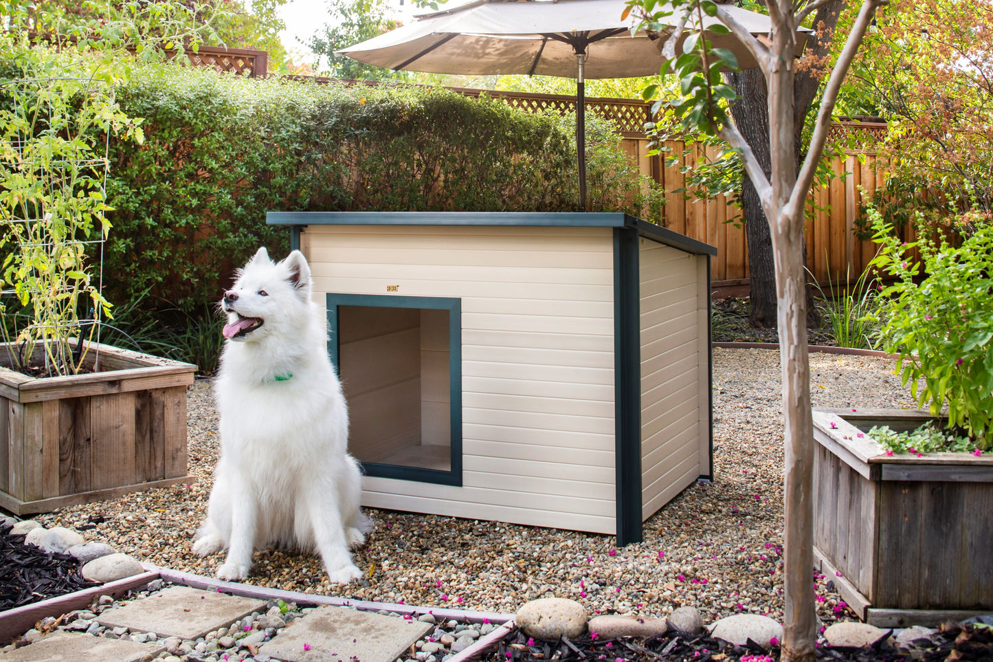 Rustic Lodge Dog House