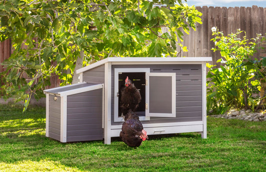 Fontana Premier Chicken Barn