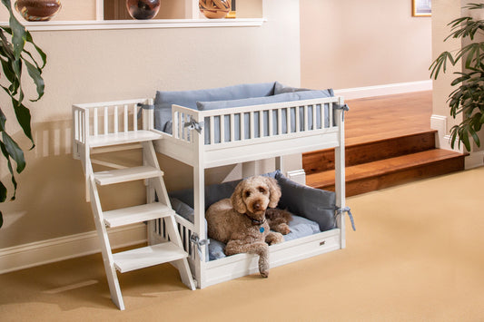 Aspen Pet Bunk Bed