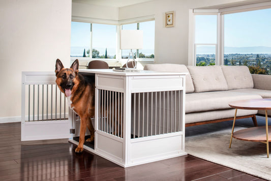 Horizon Pet Crate