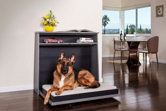 Murphy Bed XL