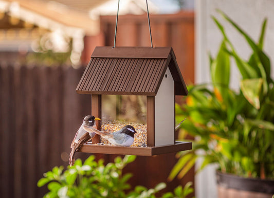 Feathered Friends Beak Bistro Bird Feeder