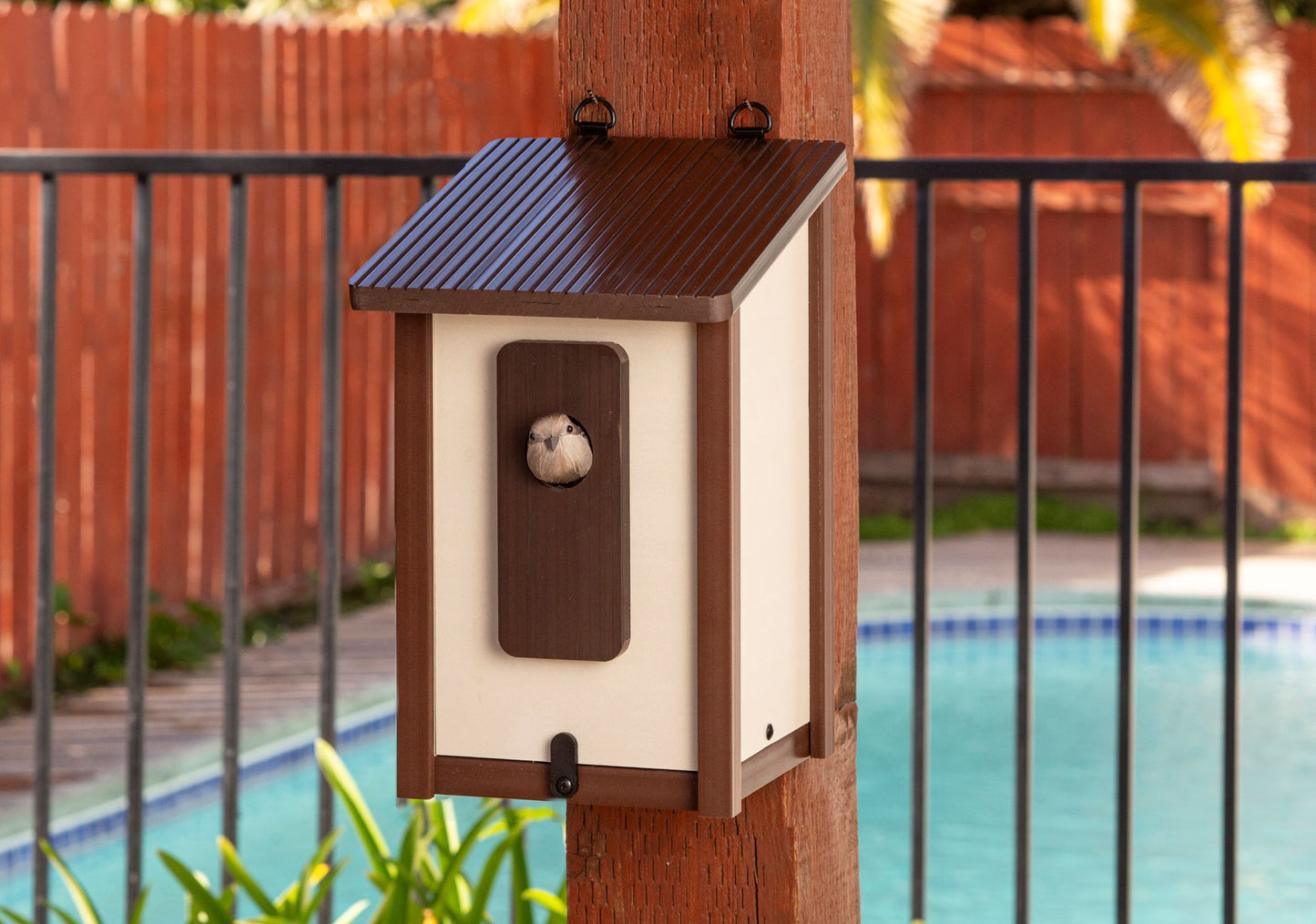 Feathered Friends Beak Bungalow Bird House