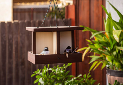 Feathered Friends Beak Buffet Bird Feeder