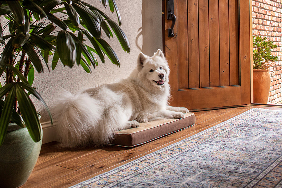 InnPlace Dog Cushion