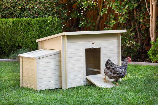 Fontana Chicken Barn