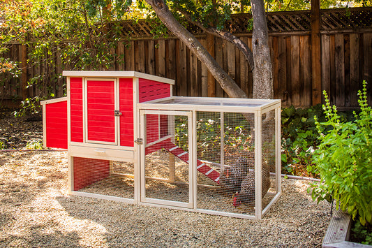 Sonoma Chicken Coop with Pen