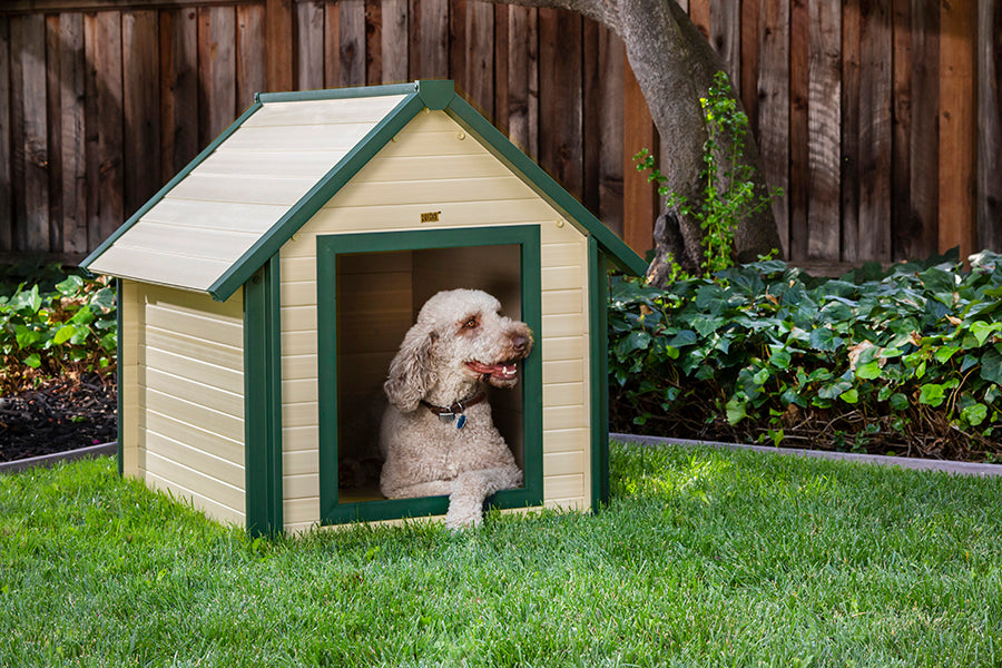 Casa para perros tipo barraca