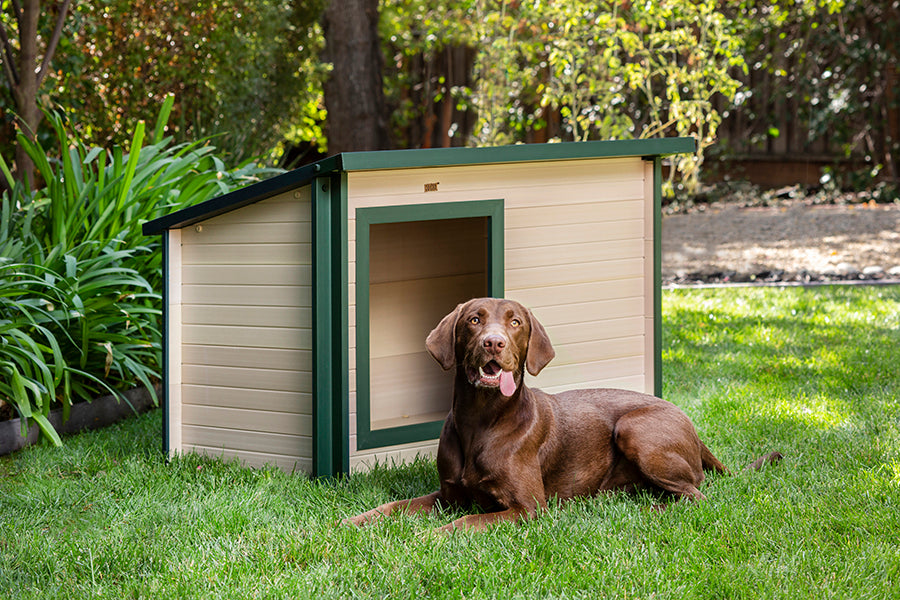 Casa para perros rústica