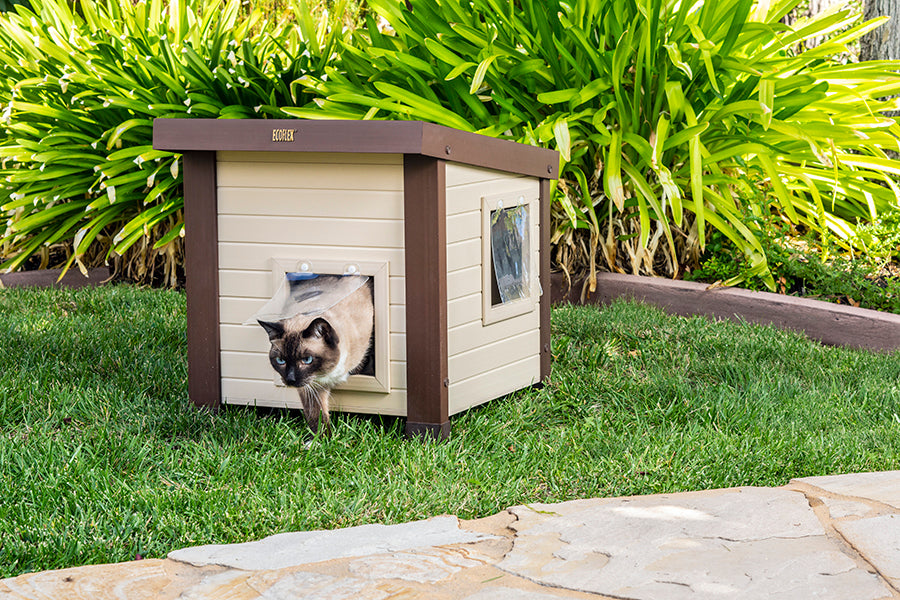 Outdoor Cat Shelter