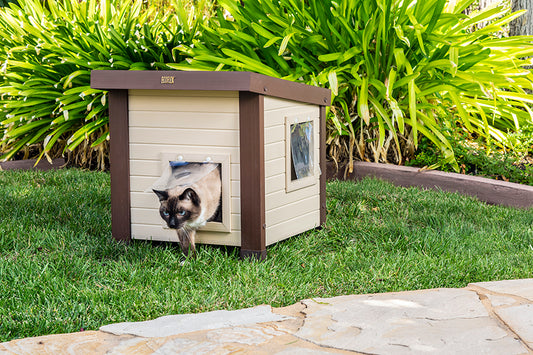 Refugio para gatos al aire libre