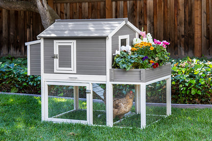 Garden Coop with Pen