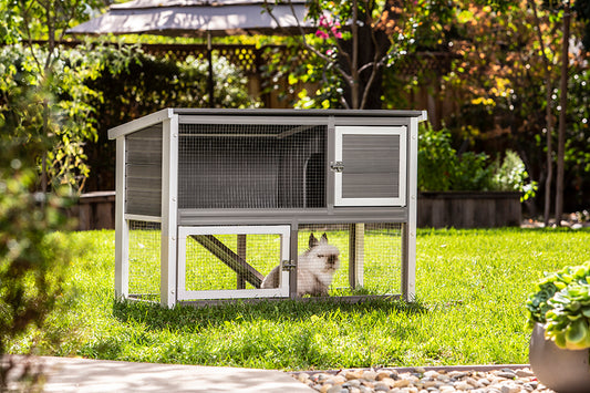 Columbia Rabbit Hutch